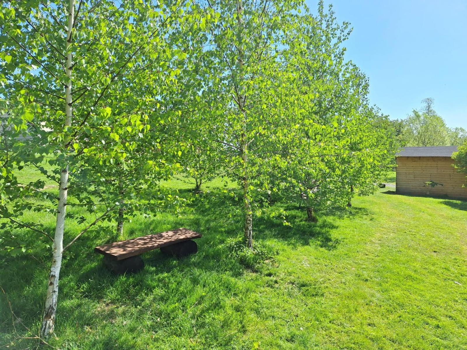 Camping, Zabierz Wlasny Namiot Kameralne Pole Namiotowe Z Basenem Kinem Plenerowym Miejscem Na Ognisko I Placem Zabaw Zywe Zwierzeta Agroturystyka Giebultow  Exterior foto